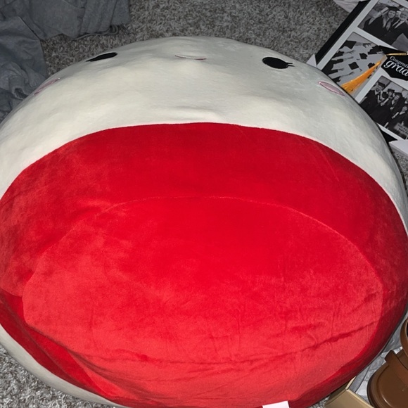 HUGE squishmallows RAISY THE RAMEN noodle - Picture 5 of 6